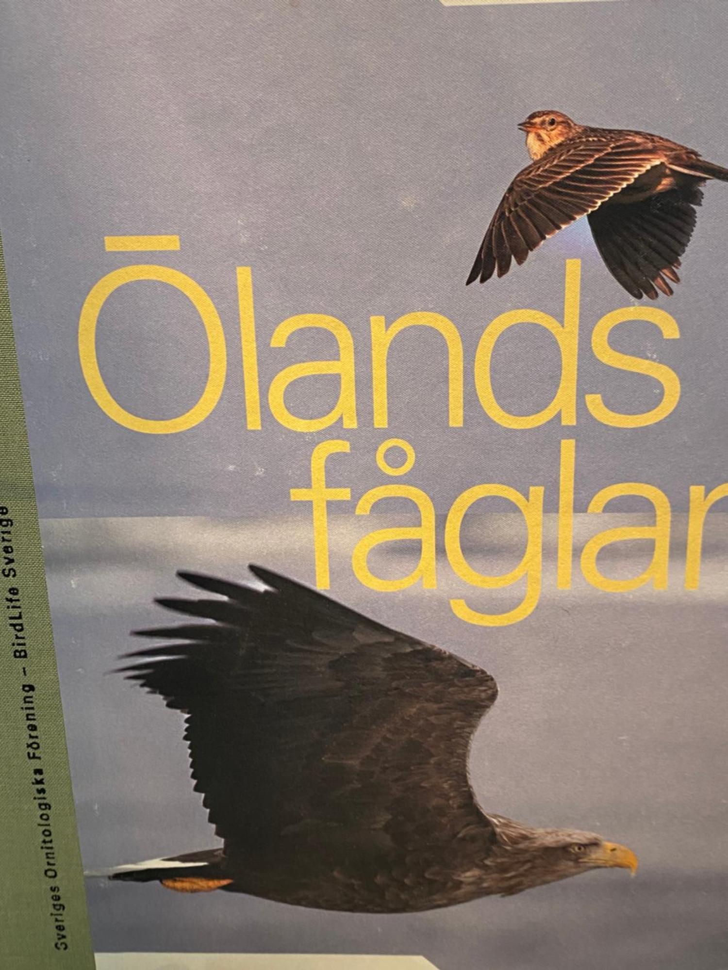 شقة Idyliska Boende Mitt Pa Oeland Färjestaden المظهر الخارجي الصورة